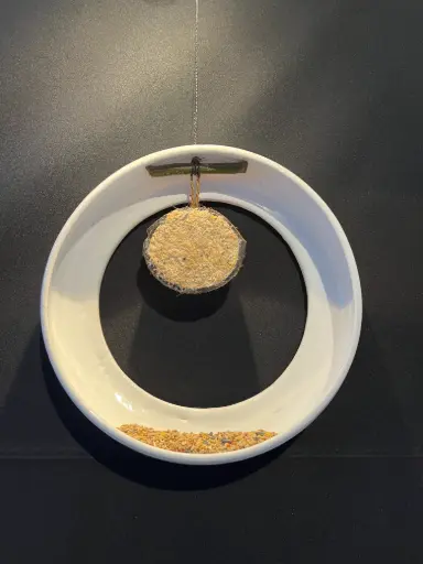Bird Feeder